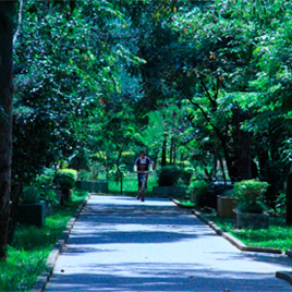 Parque Tiquatira