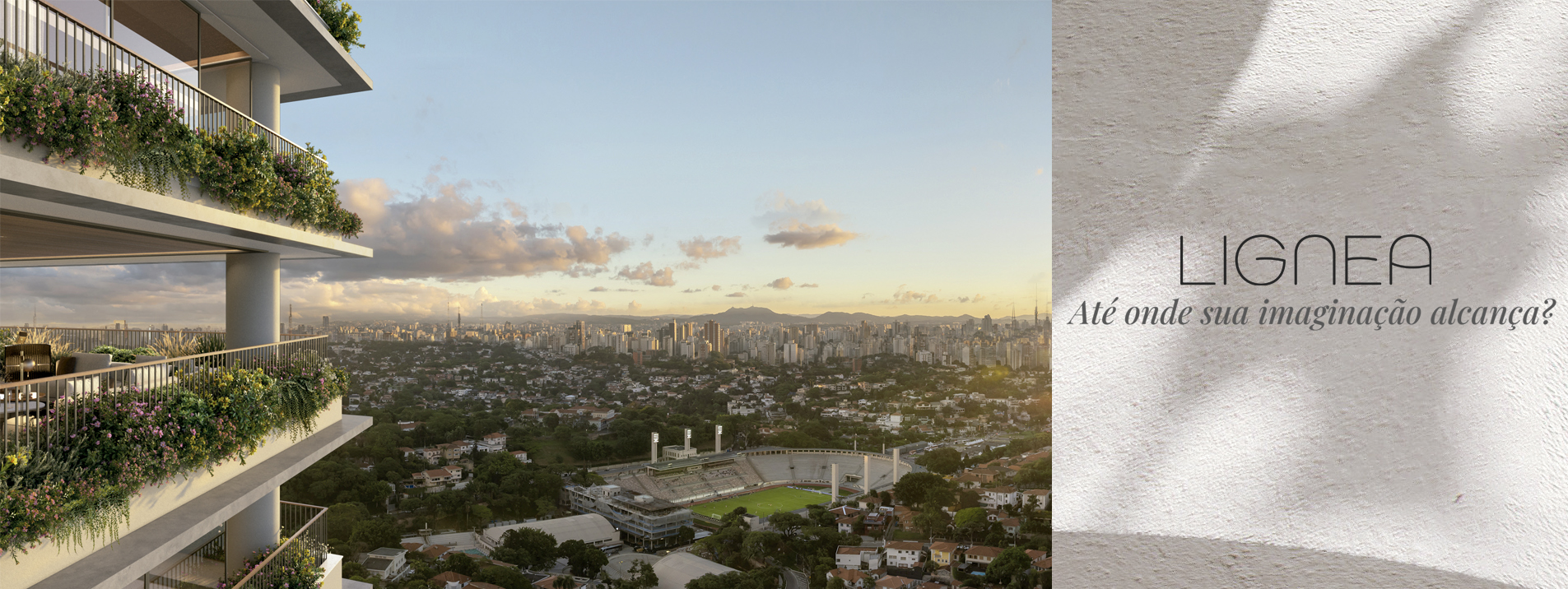 Lignea Higienópolis - Topo