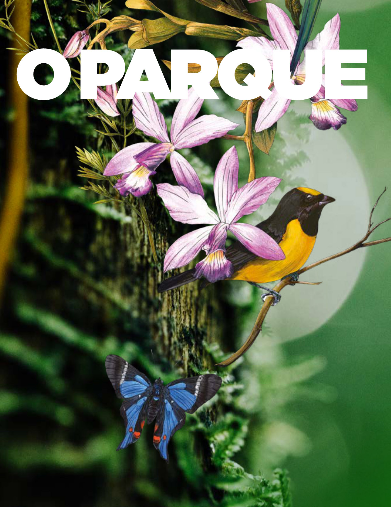 O Parque Brooklin Gamaro, lançamento no Brooklin