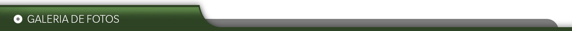 Galeria de Fotos